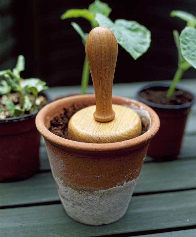 无人,竖图,室外,特写,白天,美景,植物,花盆,种植,木制,景观,园艺,设备,物品,自然,景色,摄影,自然风光,休闲活动,彩图,对焦