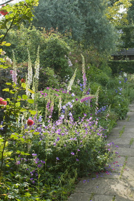 无人,家,竖图,室外,白天,留白,美景,植物,别墅,床,花坛,房屋,屋子,景观,公寓,小路,风铃草,祝福,洋房,楼房,住宅,花,自然,夏天,健康,景色,可爱,摄影,多样,钟花,天竺葵,创造,毛地黄,自然风光,感谢,温柔,沥青,苍白,感恩,嫉妒,瓦筒花,岩石,彩图,房子,多年生植物,二年生植物,花园路