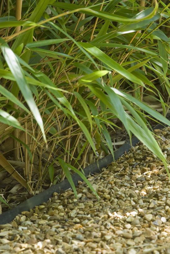 无人,竖图,室外,特写,白天,美景,植物,停靠,景观,园艺,小路,警告,自然,夏天,景色,警示,摄影,生长,保护,禁止,提醒,伸出,提示,停泊,限制,自然风光,沙砾,挑战,危险,茶花,彩图,对焦