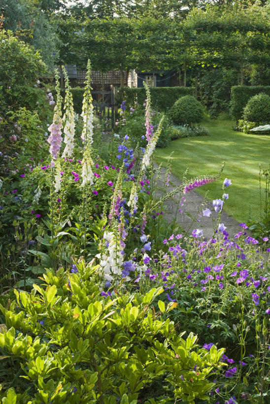 无人,家,竖图,室外,白天,留白,草坪,美景,植物,别墅,床,形状,花坛,房屋,屋子,景观,公寓,小路,风铃草,祝福,洋房,楼房,住宅,盒子,草,花,自然,夏天,健康,景色,可爱,摄影,多样,钟花,天竺葵,创造,毛地黄,圆顶建筑,自然风光,感谢,温柔,曲别针,沥青,苍白,感恩,嫉妒,瓦筒花,黄杨木,树篱,岩石,彩图,房子,多年生植物,二年生植物,花园路