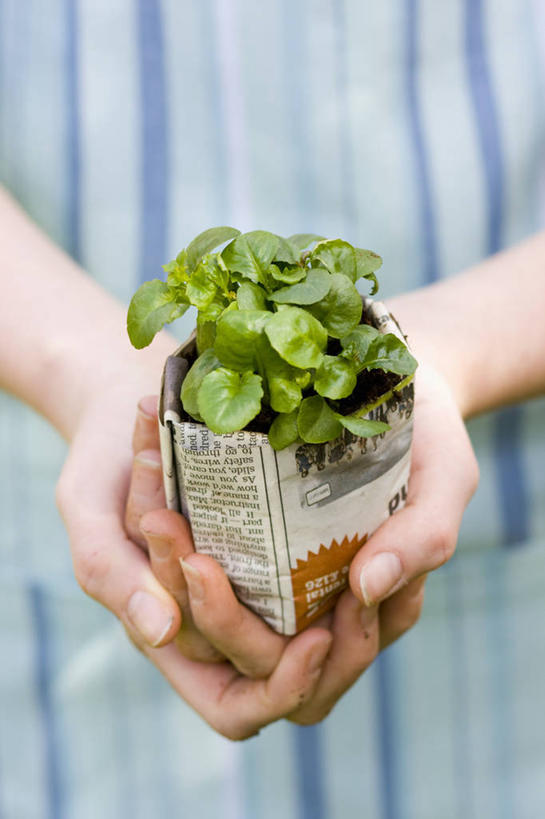 西方人,成年人,中年人,手,一个人,竖图,室外,特写,白天,留白,正面,美景,植物,微生物,报纸,花盆,欧洲,欧洲人,仅一个女性,一把,种植,条纹,朦胧,模糊,分离,盆栽,纸,景观,园艺,拿着,休闲装,设备,物品,一个,衣服,自然,春天,景色,人体,摄影,生长,生活方式,单个,清新,运送,自然风光,循环利用,分解,式样,年轻女性,女人,中年女性,白种人,年轻人,彩图,对焦,降解,生物降解,半边莲属,生物降解材料