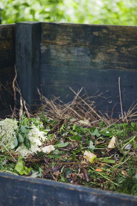 无人,竖图,室外,特写,白天,留白,木制,木材,泥土,园艺,果皮,垃圾,垃圾桶,自然,摄影,有机食品,腐烂,循环利用,彩图,对焦,堆肥,回收桶