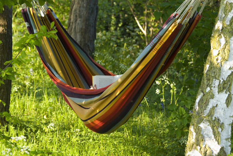 一个人,躺,横图,彩色,室外,白天,留白,美景,树林,吊床,家具,白桦树,纺织品,吊挂,悬挂,条纹,朦胧,模糊,景观,树荫,野花,挂,帆布,草,树,树干,黄色,红色,蓝色,自然,春天,夏天,休息,健康,景色,放松,读书,摄影,白桦,生活方式,五颜六色,色彩斑斓,享乐,早晨,清新,自然风光,五彩缤纷,五彩斑斓,梯牧草,式样,五光十色,黄花九轮草,书,休闲活动,彩图