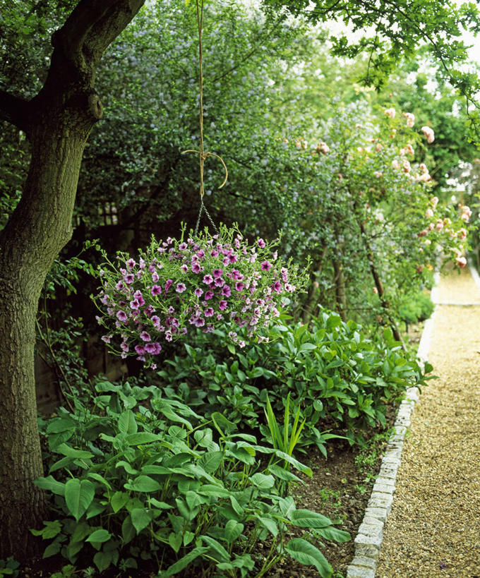 无人,交叉,竖图,室外,白天,美景,竹子,吊挂,握,悬挂,竹制,编织,篮子,景观,挂,拿,拎,拿着,床上用品,树,自然,容器,竹篮,夏天,景色,握着,摄影,竹条,交织,竹制品,自然风光,橡树,矮牵牛花,落叶树,穿插,彩图,拎着