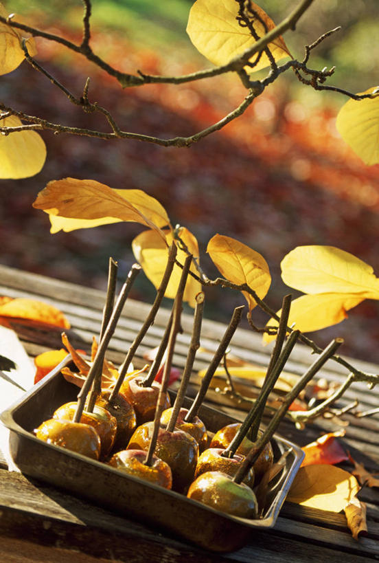 点心,无人,竖图,室外,特写,白天,农业,农作物,美景,苹果,水果,景观,食品,甜点,果实,文化,小吃,饮食,自然,景色,季节,摄影,自然风光,逆光,太妃糖,秋天,彩图,苹果糖,太妃糖苹果,糖苹果,传统文化