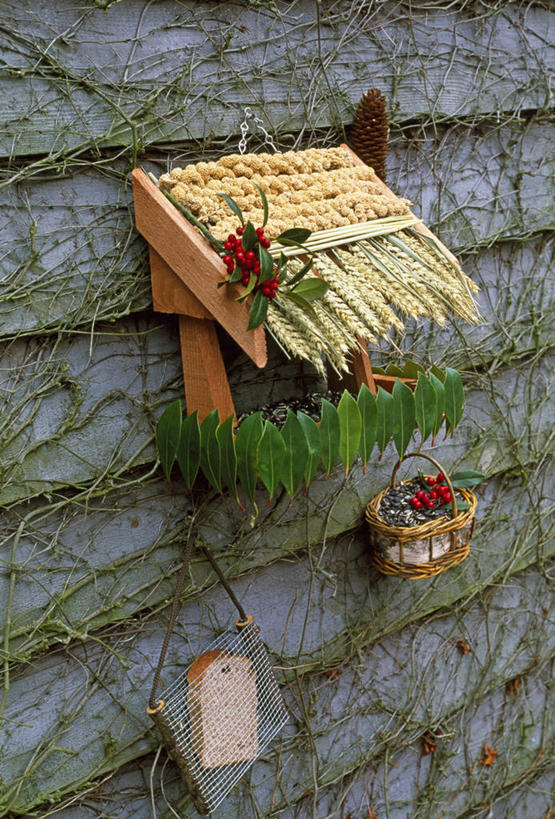 无人,竖图,室外,特写,白天,小麦,美景,野生动物,装饰,景观,食品,饮品,饮食,食物,饮料,自然,景色,摄影,可口,自然风光,手艺,适口,稷,休闲活动,彩图,装裱