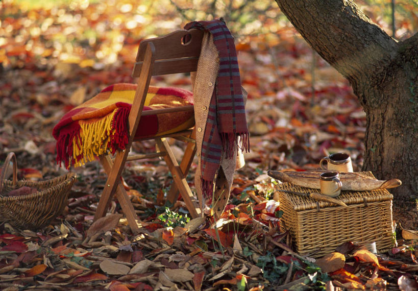 无人,交叉,横图,室外,特写,白天,美景,植物,家具,竹子,椅子,竹制,编织,木制,篮子,毯子,景观,野餐,热,自然,容器,竹篮,橙色,景色,摄影,落下,竹条,羊毛,交织,竹制品,自然风光,保温瓶,穿插,式样,秋天,休闲活动,扔,彩图