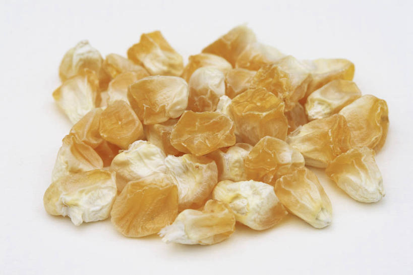 无人,横图,方图,室内,特写,白天,白色背景,玉米,美景,植物,蔬菜,景观,园艺,食品,种子,饮食,黄色,白色,自然,景色,摄影,影棚,环境,自然风光,摄影棚,开端,彩图,影棚拍摄,拍摄,甜玉米