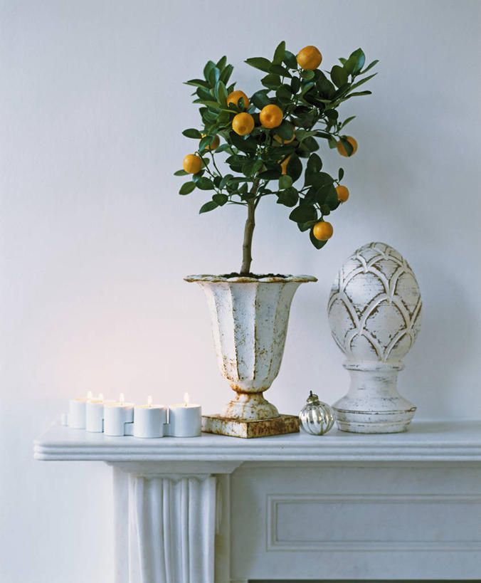 无人,竖图,室内,美景,植物,壁炉,蜡烛,水果,圣诞节,装饰,大理石,景观,冬天,食品,饮品,饮食,食物,饮料,排列,白色,自然,黄昏,装饰物,取暖,景色,季节,摄影,环境,照明设备,可口,自然风光,柑橘属,适口,彩图,取暖设备,法定假日