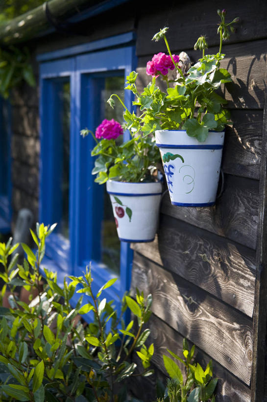 无人,竖图,室外,特写,白天,美景,植物,花盆,木制,景观,陶瓷制品,一对,花,排列,两个,棚,自然,容器,夏天,景色,摄影,环境,天竺葵,自然风光,彩图,装裱