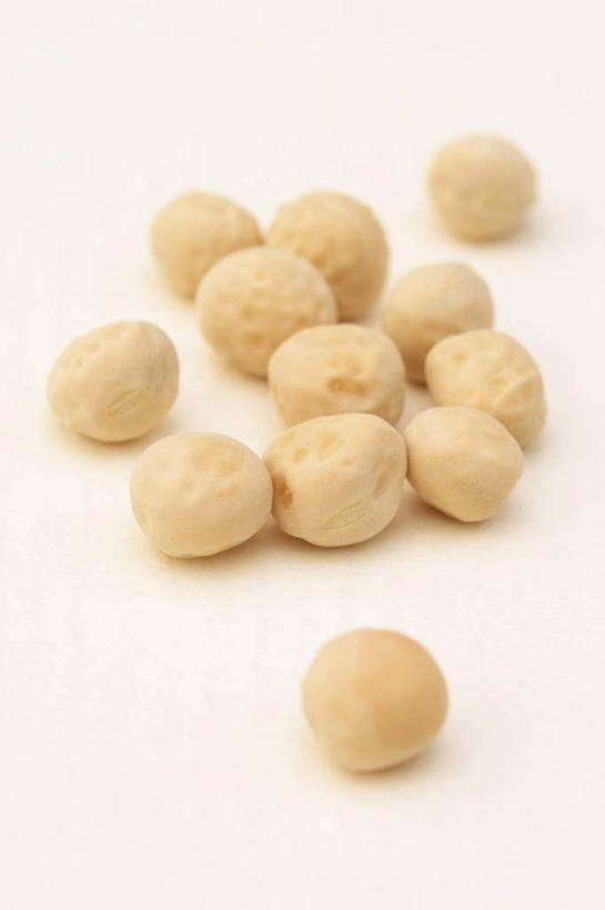 无人,竖图,室内,特写,白天,白色背景,美景,植物,蔬菜,景观,园艺,食品,褐色,种子,饮食,白色,自然,米色,景色,摄影,环境,自然风光,开端,休闲活动,彩图,影棚拍摄