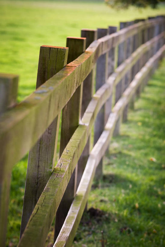 无人,竖图,室外,特写,白天,侧面,农业,美景,植物,木制,景观,草,一个,自然,景色,摄影,单个,保护,环境,人造,自然风光,边界,分割,击剑,彩图