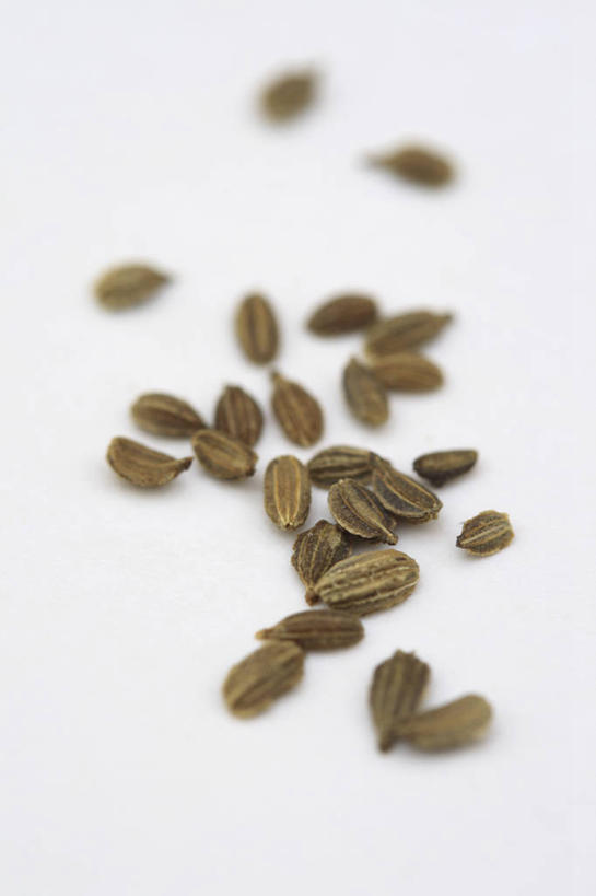 无人,竖图,室内,特写,白天,白色背景,美景,植物,胡萝卜,蔬菜,景观,园艺,食品,褐色,种子,饮食,白色,自然,景色,摄影,环境,自然风光,开端,休闲活动,彩图,影棚拍摄