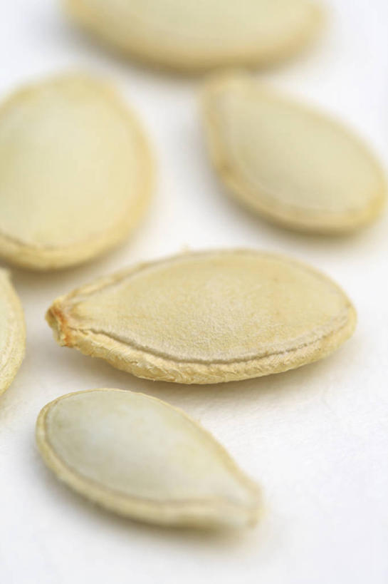 无人,竖图,室内,特写,白天,白色背景,美景,植物,蔬菜,景观,园艺,食品,种子,西葫芦,饮食,白色,自然,景色,摄影,环境,自然风光,开端,休闲活动,胡瓜,彩图,影棚拍摄