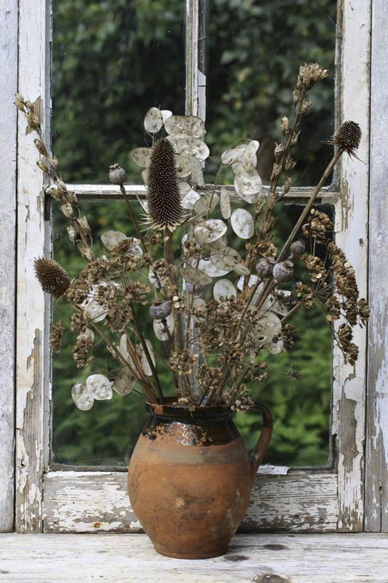 无人,竖图,室内,特写,白天,美景,植物,窗户,餐具,礼物,景观,褐色,种子,毛茛,草药,药草,中药,窗台,水壶,花,一个,自然,插花,花束,陶器,景色,摄影,单个,环境,自然风光,药材,中草药,选择,干的,起绒草,中药材,本草,老虎脚爪草,鱼疔草,秋天,休闲活动,彩图