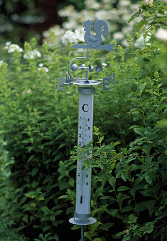 无人,竖图,室外,特写,白天,美景,植物,测量,工具,温度计,景观,设备,物品,一个,自然,景色,摄影,单个,测量工具,环境,自然风光,风标,彩图