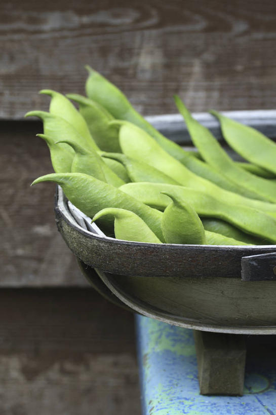 无人,竖图,室外,特写,白天,农业,农作物,美景,植物,豆,蔬菜,篮子,景观,食品,饮品,豆角,饮食,食物,饮料,一个,绿色,自然,景色,摄影,有机食品,单个,环境,可口,清新,自然风光,选择,健康食物,红花菜豆,适口,彩图,传统文化