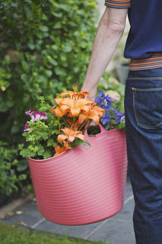 成年人,一个人,竖图,室外,特写,白天,购物,美景,植物,百合花,仅一个男性,篮子,景观,园艺,拿着,顾客,花,背面,自然,夏天,景色,摄影,环境,运送,自然风光,耧斗菜,男人,男性,休闲活动,彩图,亚洲百合
