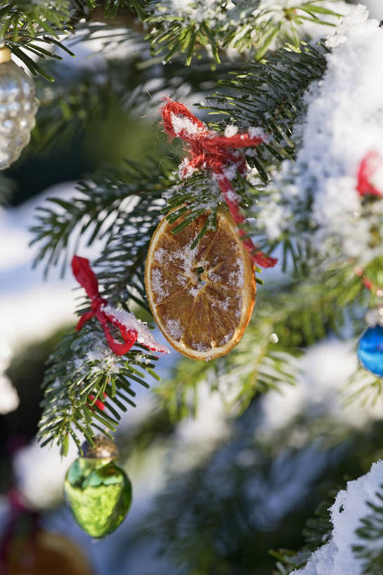 无人,竖图,室外,特写,白天,留白,雪,植物,松树,静物,水果,叶子,英国,圣诞节,节日,庆祝,装饰,冬天,圣诞树,枝,缎带,文化,饮食,装饰品,排列,绿色,装饰物,干果,庆典,橙色,寒冷,积极,摄影,冷杉,纪念,华丽,修饰,点缀,枞树,清新,杉树,努力,柔焦,饰物,常绿树,衬托,美观,雅致,雅观,高尚,才华,责任,彩图,对焦