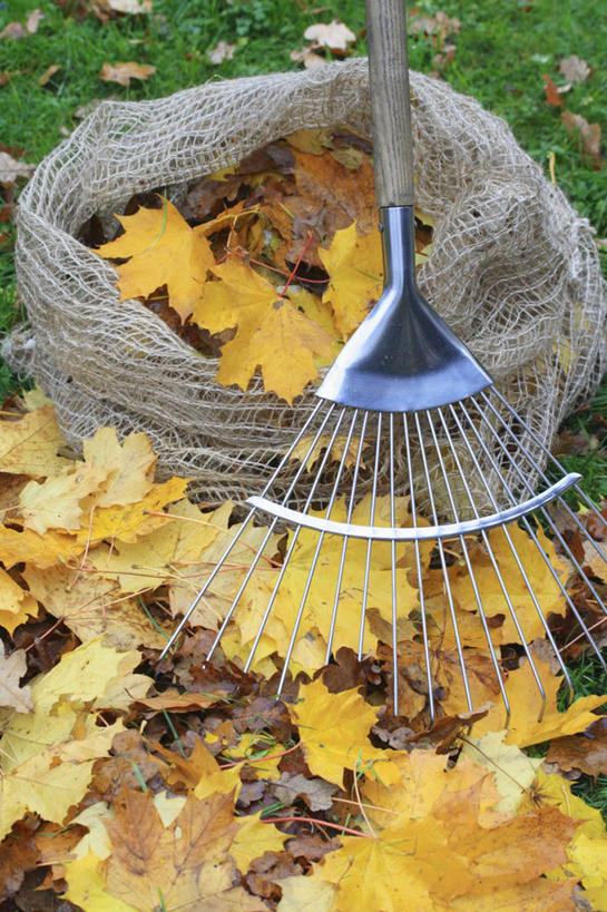 无人,竖图,室外,特写,白天,留白,微生物,静物,叶子,英国,分离,金属,叉,泥土,园艺,帆布,设备,英格兰,物品,黄色,摄影,落下,耙子,循环利用,分解,秋天,彩图,全画面,全框架,全帧,全画幅,对焦,堆肥,降解,生物降解,生物降解材料