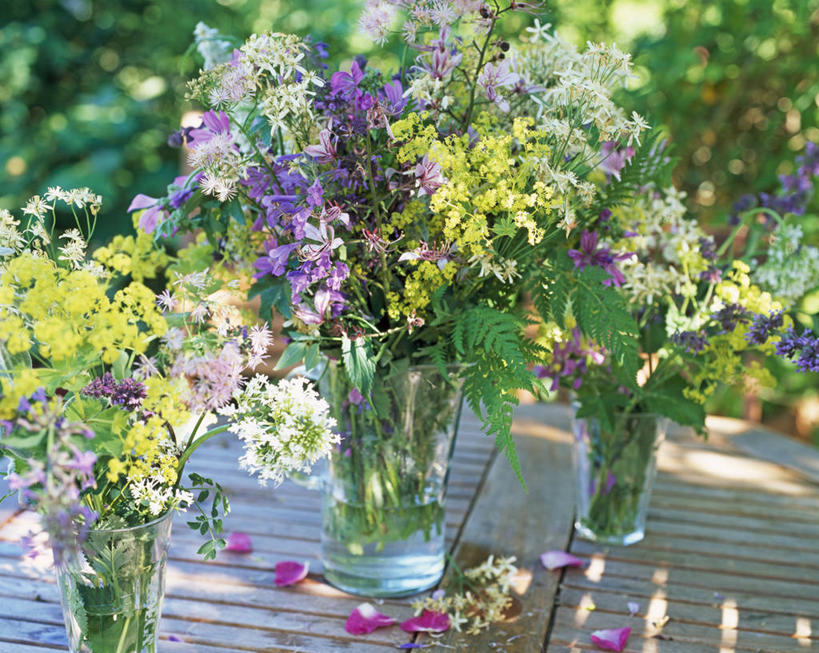 无人,横图,室外,特写,白天,留白,爱情,桌子,玫瑰,静物,花瓶,日光,薄荷叶,浪漫,水壶,花,花瓣,粉色,黄色,紫色,白色,香草,花束,夏天,薰衣草,摄影,落下,百里香,牛至,鼠尾草,天竺葵,草本,清新,柔焦,呼吸,灵香草,黄香草,金钱紫花葵,锦葵,荆葵,钱葵,淑气花,小白淑气花,恩惠,奇迹,彩图,唐松草,斗蓬草,对焦