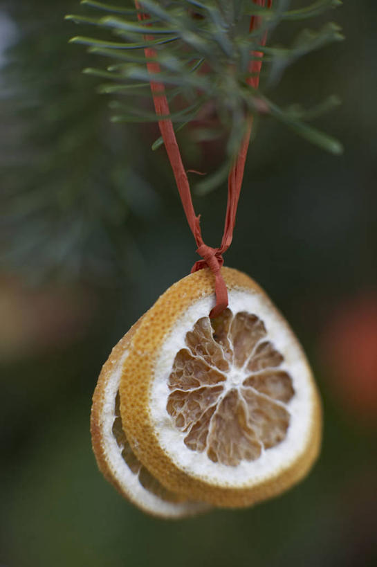 点心,面包,无人,竖图,特写,白天,留白,静物,水果,圣诞节,吊挂,切开,悬挂,装饰,冬天,食品,面点,圣诞树,挂,吐司,饮食,树,食物,糕点,干果,干花,切,橙色,打结,摄影,法式面包,柔焦,剖面,吐司面包,切面,柑橘属,彩图,多士,听型面包,对焦,酒椰