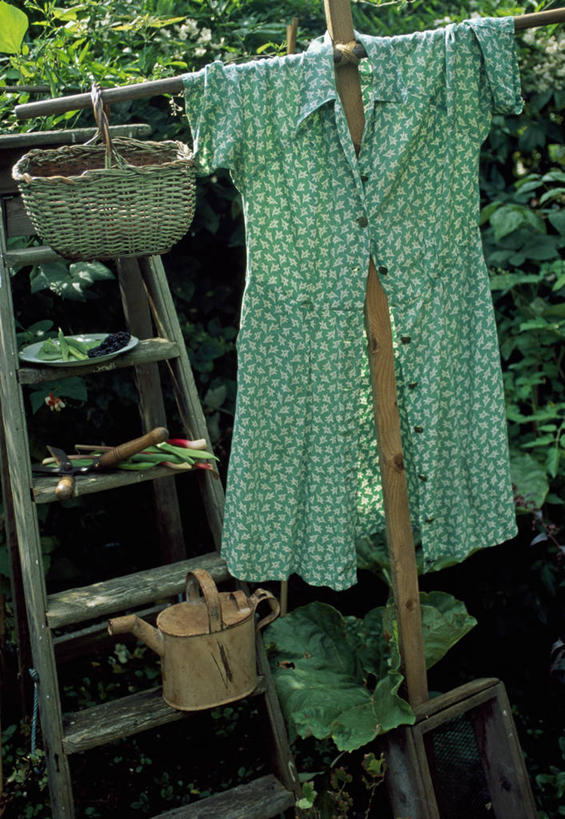 无人,竖图,室外,白天,美景,木制,篮子,木材,喷壶,梯子,景观,园艺,设备,稻草人,物品,自然,景色,摄影,柳条,自然风光,人字梯,彩图,共生关系