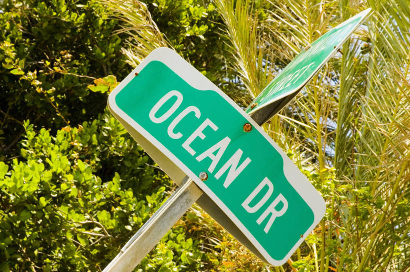 无人,横图,室外,特写,白天,仰视,通讯,植物,指示牌,棕榈树,叶子,美国,标志,路标,文字,图像,标识,路牌,树,概念,摄影,指导,英文字母,北美,北美洲,主题,美洲,交通标志,视角,棕榈叶,佛罗里达,佛罗里达州,迈阿密,佛州,阳光州,迈阿密海滩,南部海滩,北亚美利加洲,亚美利加洲,构图,大写字母,海滩,彩图,低角度拍摄,旅行,美利坚合众国,时空,海洋动力