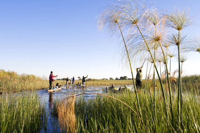 划船,西方人,伙伴,朋友,站,坐,横图,室外,白天,侧面,友谊,草地,草坪,河流,美景,水,植物,芦苇,欧洲,非洲,博茨瓦纳,黑人,欧洲人,阴影,波纹,服装,光线,船桨,棍子,影子,河水,景观,水流,涟漪,许多人,注视,休闲装,草,衣服,蓝色,绿色,蓝天,水纹,天空,阳光,自然,波浪,天,观察,看,站着,一群人,休闲,休闲服,景色,服饰,晴朗,观看,察看,关注,自然风光,万里无云,奥卡万戈三角洲,水晕,芦芛,奥卡万戈沼泽,波札那,博茨瓦纳共和国,荡舟,芦,苇,友情,男人,男性,年轻男性,非洲人,晴空,晴空万里,站立,坐着,彩图,全身,西北区