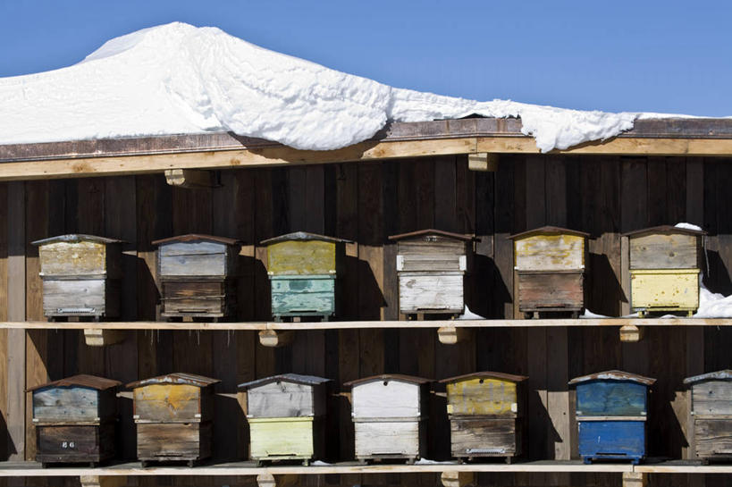 无人,横图,室外,白天,正面,美景,雪,大雪,法国,欧洲,一排,阴影,整齐,并列,并排,光线,蜂巢,蜂窝,影子,积雪,景观,雪景,冬季,冬天,排列,蓝色,蓝天,天空,阳光,自然,天,景色,寒冷,晴朗,西欧,队列,法兰西,自然风光,平行,万里无云,法兰西共和国,法兰西第五共和国,严寒,萨瓦省,晴空,晴空万里,彩图,瓦勒迪泽尔,罗讷.阿尔卑斯,罗讷.阿尔卑斯大区