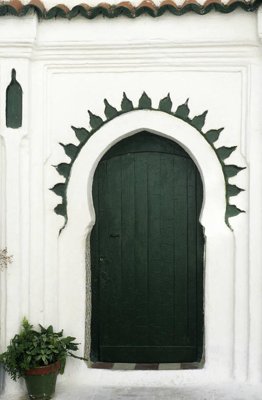 无人,家,竖图,室外,白天,正面,度假,美景,植物,门,城市风光,城市,非洲,摩洛哥,阴影,光线,盆栽,影子,房屋,墙,屋子,景观,盆景,娱乐,楼房,墙壁,墙面,住宅,绿色,白色,阳光,自然,门框,享受,休闲,景色,放松,生长,成长,省会,阿非利加洲,摩洛哥王国,丹吉尔,丹吉尔省,彩图,房子