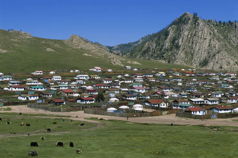 无人,家,站,吃,横图,室外,白天,正面,旅游,度假,草地,草坪,美景,山,山脉,树林,植物,牛,蒙古,亚洲,阴影,光线,影子,房屋,屋子,景观,山峰,公寓,山峦,注视,娱乐,洋房,楼房,住宅,草,树,树木,蓝色,绿色,蓝天,天空,阳光,自然,动物,群山,天,低头,观察,看,站着,享受,休闲,家畜,景色,放松,牲畜,生长,晴朗,成长,观看,察看,关注,自然风光,东亚,万里无云,垂头,草原之国,蒙古国,外蒙,外蒙古,高原之舟,天祝白牦牛,晴空,晴空万里,牦牛,嚼,食,站立,半身,彩图,房子,后杭爱盟,后杭爱省