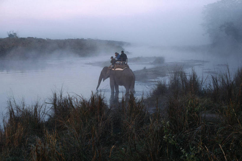 东方人,三个人,伙伴,朋友,公园,坐,横图,室外,白天,侧面,民族服装,旅游,度假,友谊,草地,草坪,河流,美景,水,植物,雾,哺乳动物,大象,野生动物,尼泊尔,亚洲,一头,朦胧,模糊,河水,景观,水流,首都,注视,黄种人,娱乐,草,绿色,自然,动物,观察,看,享受,休闲,景色,放松,观看,迷雾,察看,国家公园,关注,自然风光,南亚,加德满都,尼泊尔王国,加都,奇旺国家公园,德满都,友情,男人,男性,年轻男性,年轻女性,女人,女性,亚洲人,大雾,象,坐着,彩图,全身,传统服装,民俗服,皇家奇特旺国家公园,奇特旺国家公园