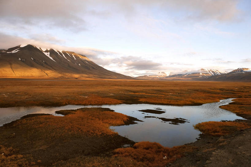 无人,横图,室外,白天,正面,旅游,度假,美景,山,雪,雪山,植物,大雪,挪威,欧洲,阴影,枯萎,光线,影子,冰,积雪,景观,山峰,雪景,云,云朵,冬季,冬天,枯草,山峦,云彩,娱乐,草,黄色,蓝色,白云,倒影,蓝天,天空,阳光,自然,天,享受,休闲,景色,放松,寒冷,晴朗,冰冷,倒映,斯堪的纳维亚,自然风光,北欧,斯堪的那维亚,斯堪的那维亚半岛,斯堪的纳维亚半岛,斯瓦尔巴群岛,严寒,冰凉,酷寒,凛冽,凛凛,极冷,挪威王国,斯匹次卑尔根群岛,反照,斯瓦尔巴特群岛,斯瓦尔巴德群岛,晴空,彩图,朗伊尔城