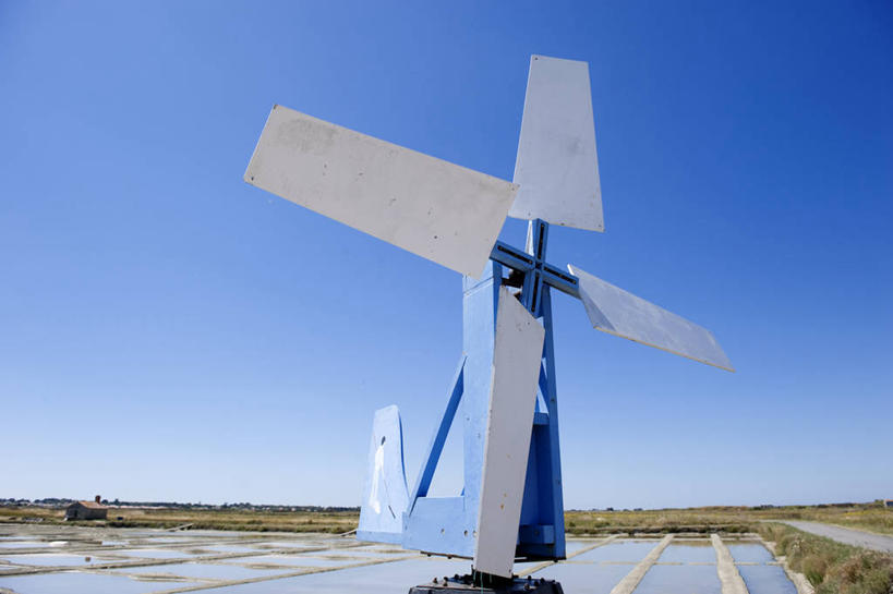 无人,横图,室外,白天,正面,旅游,度假,草地,草坪,美景,植物,风向标,风向袋,法国,欧洲,阴影,光线,影子,景观,娱乐,草,树,树木,蓝色,绿色,蓝天,天空,阳光,自然,天,享受,休闲,景色,放松,生长,晴朗,成长,西欧,法兰西,自然风光,万里无云,法兰西共和国,卢瓦尔河地区,法兰西第五共和国,卢瓦尔,卢瓦尔大区,卢瓦尔河大区,旺代省,风标,晴空,晴空万里,彩图