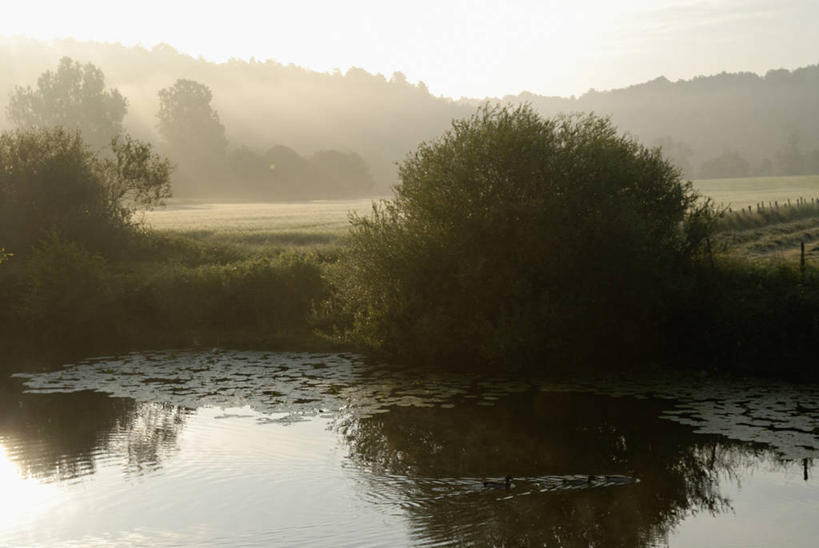 无人,横图,室外,白天,正面,旅游,度假,草地,草坪,河流,美景,树林,水,植物,雾,法国,欧洲,阴影,波纹,朦胧,模糊,光线,影子,河水,景观,水流,涟漪,娱乐,草,树,树木,绿色,倒影,水纹,天空,阳光,自然,波浪,天,享受,休闲,景色,放松,生长,成长,迷雾,倒映,勃艮第,西欧,法兰西,自然风光,法兰西共和国,水晕,法兰西第五共和国,反照,勃艮第大区,约讷省,大雾,彩图
