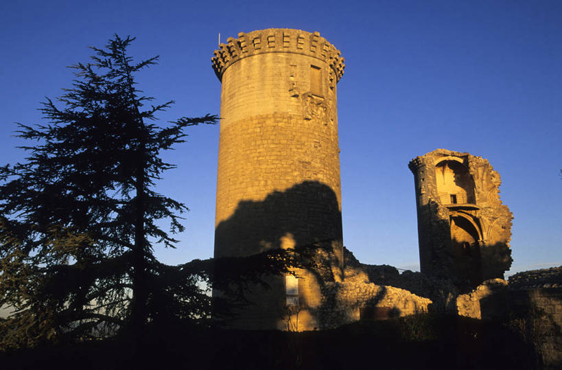 无人,家,横图,室外,白天,仰视,旅游,度假,名胜古迹,植物,标志建筑,地标,建筑,法国,欧洲,阴影,遗迹,光线,影子,堡垒,城堡,房屋,屋子,古迹,文物,娱乐,建设,古建筑,楼房,住宅,树,树木,蓝色,绿色,蓝天,天空,阳光,自然,天,享受,休闲,旅游胜地,放松,生长,晴朗,成长,西欧,要塞,法兰西,古文明,万里无云,法兰西共和国,法兰西第五共和国,普罗旺斯.阿尔卑斯.蓝色海岸,普罗旺斯.阿尔卑斯.蓝色海岸大区,设防,罗讷河口省,罗讷河口,晴空,晴空万里,彩图,低角度拍摄,房子