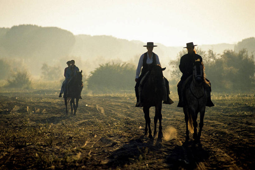 西方人,四个人,伙伴,朋友,坐,横图,室外,白天,正面,旅游,度假,友谊,草地,草坪,美景,日落,植物,雾,马,野生动物,帽子,西班牙,欧洲,欧洲人,服装,朦胧,模糊,景观,晚霞,霞光,落日,背光,注视,礼帽,娱乐,安达卢西亚,草,树,树木,骑,衣服,绿色,自然,黄昏,动物,观察,看,骑车,享受,休闲,景色,彩霞,放松,运输,服饰,牲畜,生长,成长,观看,迷雾,察看,衣着,穿着,关注,南欧,自然风光,三匹,安达鲁西亚,逆光,首府,西班牙王国,安达卢西亚自治区,衣饰,夕照,薄暮,韦尔瓦省,友情,男人,男性,中年男性,白种人,大雾,夕阳,坐着,彩图,全身,傍晚,韦尔瓦,斜阳