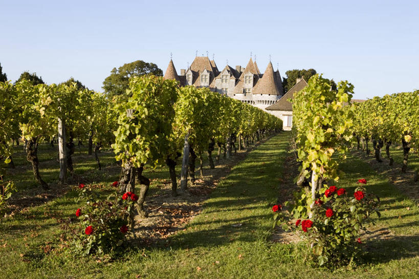 无人,家,果园,横图,室外,白天,正面,爱情,旅游,度假,幸福,纯洁,热情,名胜古迹,田园,标志建筑,地标,建筑,玫瑰,法国,欧洲,阴影,遗迹,盛开,光线,影子,堡垒,城堡,房屋,屋子,公寓,玫瑰花,浪漫,花蕾,古迹,文物,娱乐,建设,古建筑,洋房,楼房,葡萄园,架子,住宅,花,花瓣,花朵,鲜花,红色,蓝色,蓝天,天空,阳光,庄园,天,花苞,花蕊,享受,休闲,温暖,温馨,旅游胜地,恩爱,放松,红玫瑰,晴朗,支撑,固定,和睦,西欧,要塞,法兰西,感动,葡萄架,古文明,万里无云,法兰西共和国,阿基坦,法兰西第五共和国,尊敬,多尔多涅省,亚魁当,阿基坦大区,设防,多尔多涅,佩里格,天真,刺玫花,徘徊花,晴空,晴空万里,彩图,房子,融洽,佩里格区