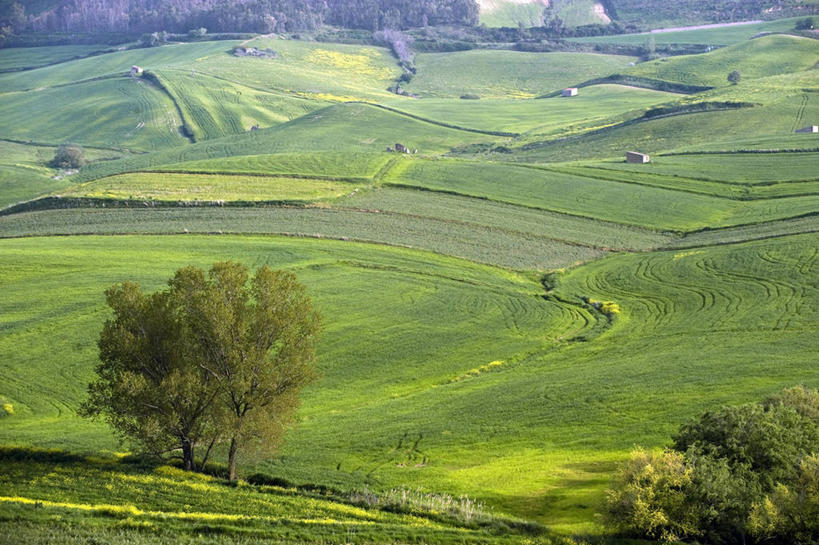 无人,农场,横图,俯视,室外,白天,旅游,度假,畜牧业,牧场,草地,草坪,美景,山,山脉,树林,植物,意大利,欧洲,阴影,光线,影子,景观,山峰,山峦,娱乐,草,树,树木,绿色,阳光,自然,群山,享受,休闲,景色,放松,生长,成长,西西里,南欧,自然风光,畜牧,意大利共和国,西西里岛,牧业,恩纳省,彩图,高角度拍摄