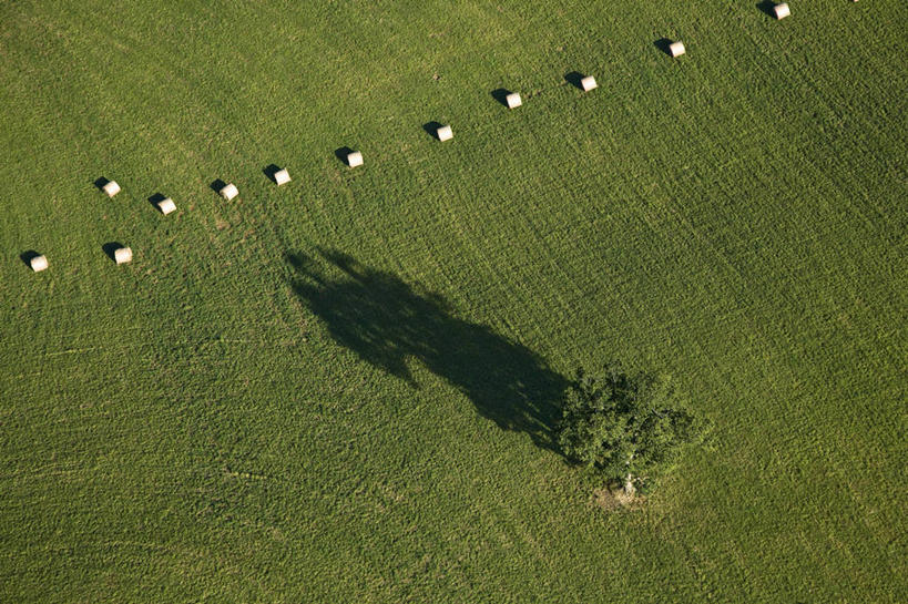无人,横图,俯视,航拍,室外,白天,旅游,度假,草地,草坪,美景,植物,法国,欧洲,一排,许多,阴影,整齐,光线,影子,景观,干草,很多,娱乐,草,树,树木,排列,绿色,阳光,自然,草垛,享受,休闲,景色,放松,生长,成长,西欧,鸟瞰,队列,法兰西,自然风光,法兰西共和国,法兰西第五共和国,奥弗涅,奥弗涅大区,干草垛,多姆山,彩图,高角度拍摄