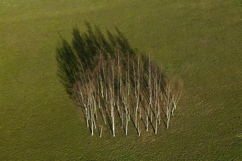 无人,横图,俯视,航拍,室外,白天,旅游,度假,草地,草坪,美景,树林,植物,法国,欧洲,阴影,光线,影子,景观,娱乐,草,树,树木,绿色,阳光,自然,享受,休闲,景色,放松,白桦,生长,成长,西欧,鸟瞰,法兰西,自然风光,法兰西共和国,法兰西第五共和国,法兰西岛,法兰西岛大区,瓦兹河谷省,瓦勒德瓦兹省,桦树,桦皮树,桦木,彩图,高角度拍摄
