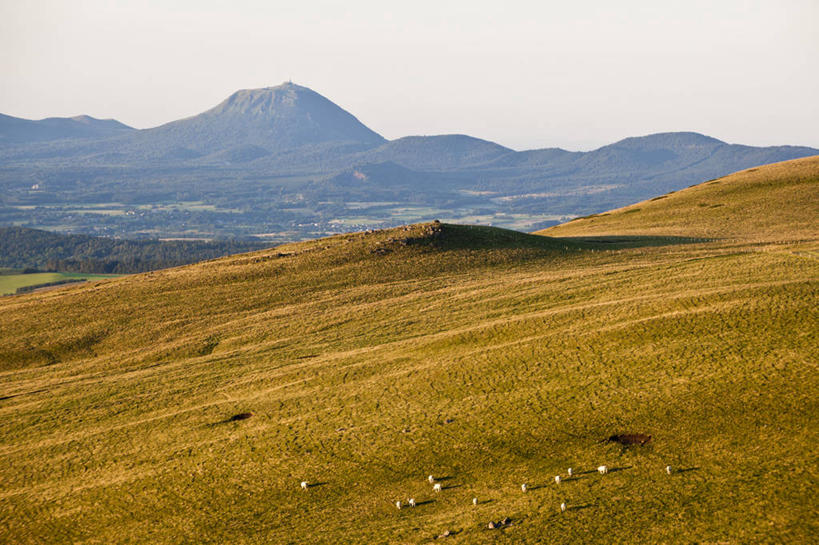 无人,走,横图,室外,白天,正面,旅游,度假,草地,草坪,石头,美景,山,山脉,植物,羊,法国,欧洲,许多,石子,景观,山峰,山峦,很多,注视,娱乐,草,绿色,天空,自然,动物,群山,天,观察,看,享受,休闲,家畜,景色,放松,牲畜,观看,察看,西欧,关注,法兰西,自然风光,法兰西共和国,法兰西第五共和国,奥弗涅,奥弗涅大区,石块,绵羊,步行,散步,走路,彩图,全身,多姆山省