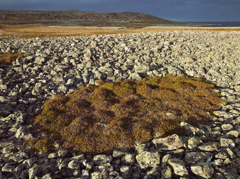 无人,横图,室外,白天,正面,旅游,度假,石头,美景,沙滩,山,山脉,挪威,欧洲,一堆,许多,堆叠,堆积,沙子,石子,海岸,景观,山峰,青苔,苔藓,沙地,山峦,很多,娱乐,天空,自然,群山,天,享受,休闲,鹅卵石,景色,放松,堆,斯堪的纳维亚,自然风光,北欧,斯堪的那维亚,斯堪的那维亚半岛,斯堪的纳维亚半岛,按摩石,拉普兰,挪威王国,芬马克,芬马克郡,诺尔兰,诺尔兰郡,海滩,石块,彩图