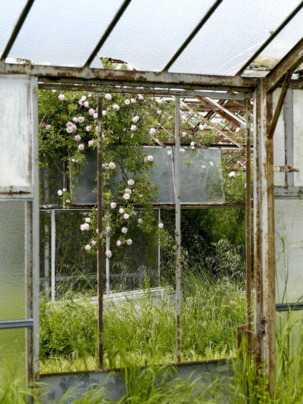 无人,花园,竖图,室外,白天,正面,草地,草坪,花圃,美景,树林,植物,法国,欧洲,盛开,景观,花蕾,温室,草,花,花瓣,花朵,鲜花,树,树木,绿色,自然,花苞,花蕊,景色,设施,生长,成长,暖房,防寒,西欧,加温,法兰西,自然风光,透光,保温,瓦尔省,法兰西共和国,法兰西第五共和国,普罗旺斯.阿尔卑斯.蓝色海岸,普罗旺斯.阿尔卑斯.蓝色海岸大区,瓦尔,圣特罗佩,小花园,彩图