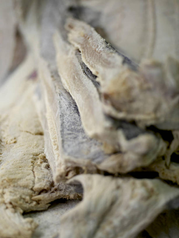 无人,竖图,俯视,室外,特写,白天,一堆,许多,阴影,堆叠,堆积,反射,影子,肉,鱼干,鱼肉,很多,肉类,堆,肉食,彩图,高角度拍摄