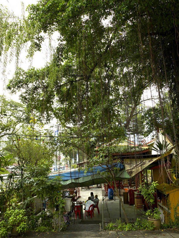 无人,家,竖图,室外,白天,正面,度假,美景,植物,城市风光,城市,新加坡,亚洲,房屋,屋子,景观,娱乐,楼房,住宅,树,树木,绿色,自然,享受,休闲,景色,放松,东南亚,生长,成长,新加坡共和国,彩图,房子,狮城,星岛,星洲