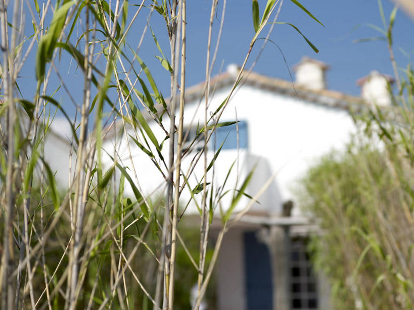 无人,家,横图,室外,白天,仰视,度假,草地,草坪,美景,植物,城市风光,城市,法国,欧洲,阴影,朦胧,模糊,光线,影子,房屋,屋子,景观,娱乐,楼房,住宅,草,蓝色,绿色,蓝天,天空,阳光,天,享受,休闲,景色,放松,晴朗,西欧,法兰西,瓦尔省,万里无云,法兰西共和国,法兰西第五共和国,普罗旺斯.阿尔卑斯.蓝色海岸,普罗旺斯.阿尔卑斯.蓝色海岸大区,瓦尔,圣特罗佩,晴空,晴空万里,彩图,低角度拍摄,房子