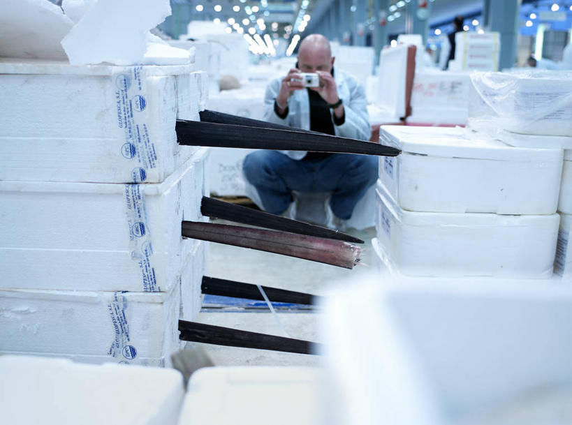 海鲜,西方人,一个人,坐,横图,室内,白天,正面,购物,消费,相机,欧洲,欧洲人,仅一个男性,仅一个人,仅一个中年男性,握,阴影,服装,裤子,朦胧,模糊,光线,鱼,影子,灯光,集市,市场,注视,牛仔裤,休闲装,商贩,水产,鱼类,海洋生物,拍照,衣服,容器,数码相机,箱子,观察,看,休闲,休闲服,握着,金融,摄影,服饰,观看,储藏,察看,储存,关注,水生动物,海产品,水生物,选购,贸易,海底动物,一部,马林鱼,青枪鱼,男人,男性,中年男性,白种人,商人,照相机,坐着,彩图,全身,照相,鱼市,贮存