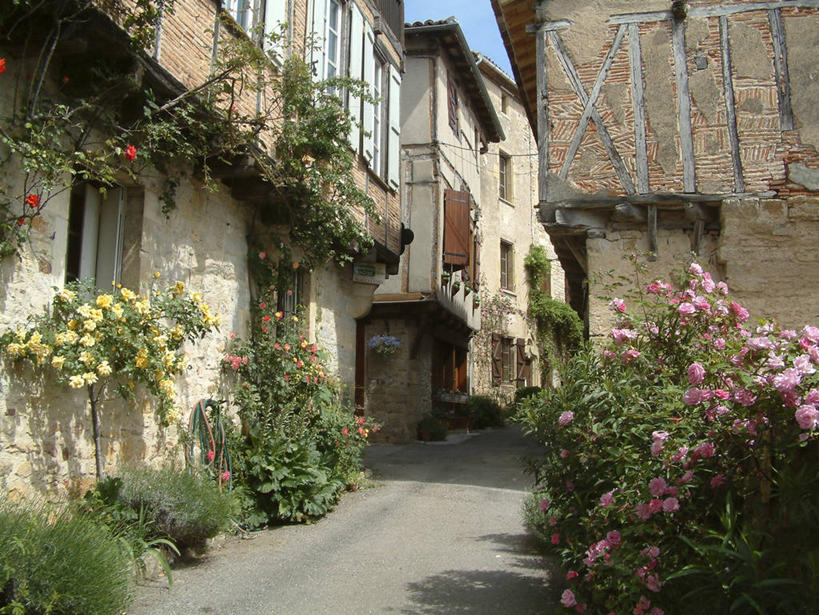 无人,家,横图,室外,白天,仰视,爱情,旅游,度假,幸福,纯洁,热情,美景,植物,窗户,城市风光,城市,建筑,玫瑰,法国,欧洲,阴影,盛开,光线,影子,房屋,墙,屋子,景观,公寓,玫瑰花,浪漫,花蕾,娱乐,建设,洋房,楼房,玻璃窗,墙壁,墙面,住宅,花,花瓣,花朵,鲜花,树,树木,粉色,蓝色,绿色,蓝天,天空,阳光,自然,天,花苞,花蕊,享受,休闲,温暖,温馨,景色,恩爱,放松,生长,晴朗,成长,和睦,西欧,法兰西,感动,粉玫瑰,万里无云,法兰西共和国,法兰西第五共和国,尊敬,南部.比利牛斯,南部.比利牛斯大区,塔恩.加龙省,天真,刺玫花,徘徊花,晴空,晴空万里,彩图,低角度拍摄,房子,融洽,皮伊塞尔西,阿尔比区